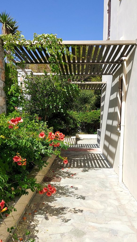 exterior_new-2-582x1024